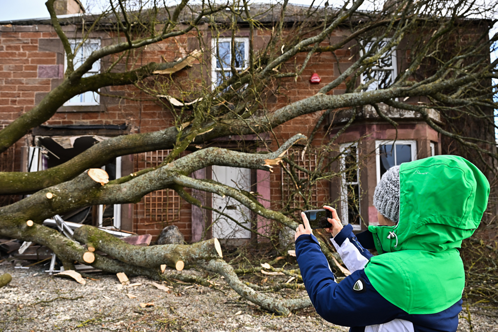 امرأة تصور بقايا شجرة سقطت أمام منزل في إدزيل، أنجوس.