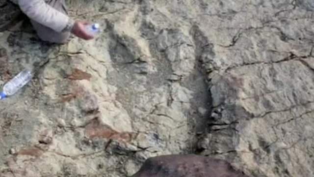 Footprint of Abelisaurus dinosaur