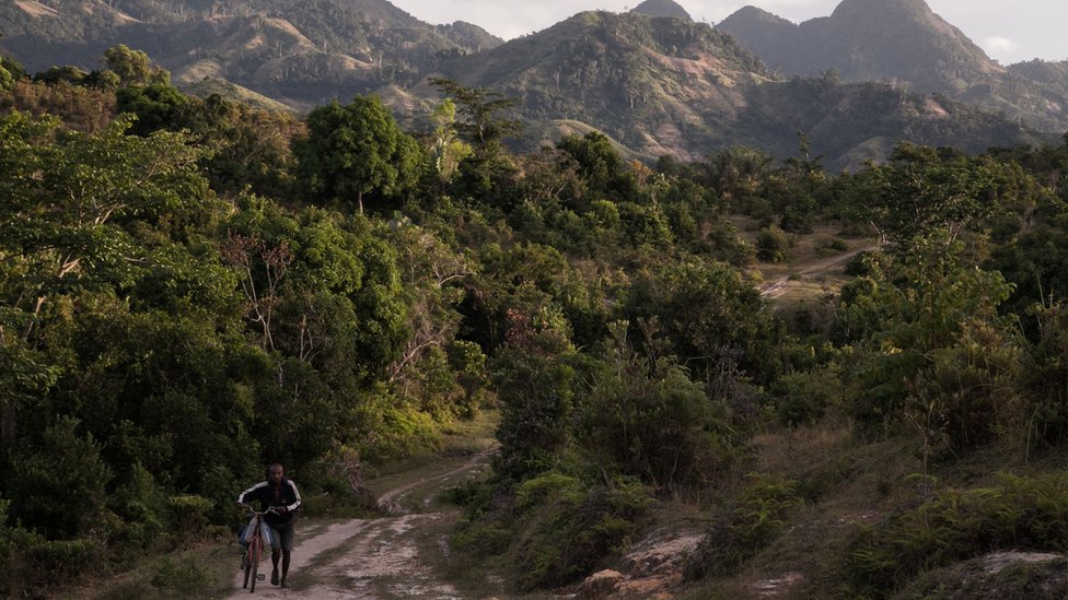 Мужчина толкает велосипед рядом с лесными плантациями ванили на Мадагаскаре