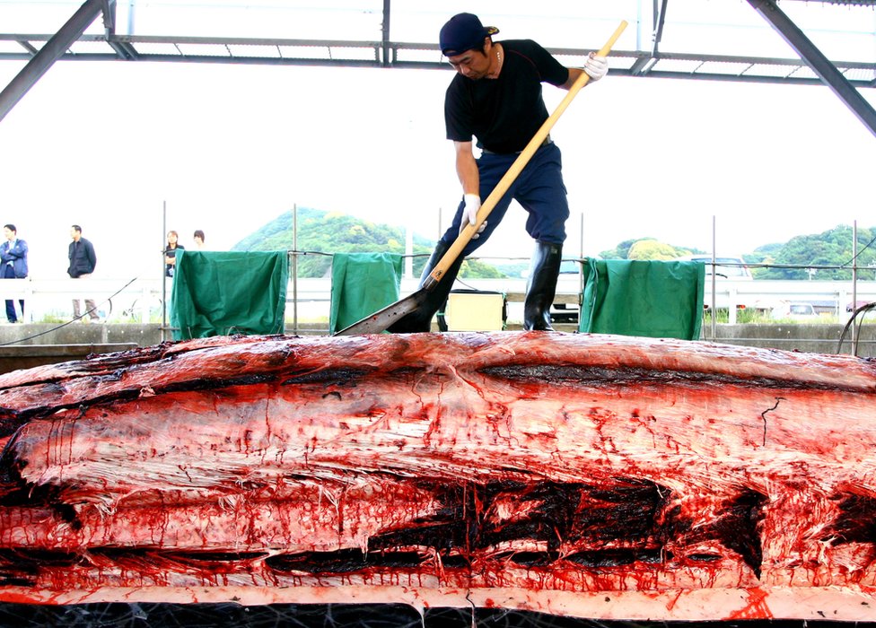 Pescador con restos de una ballena muerta