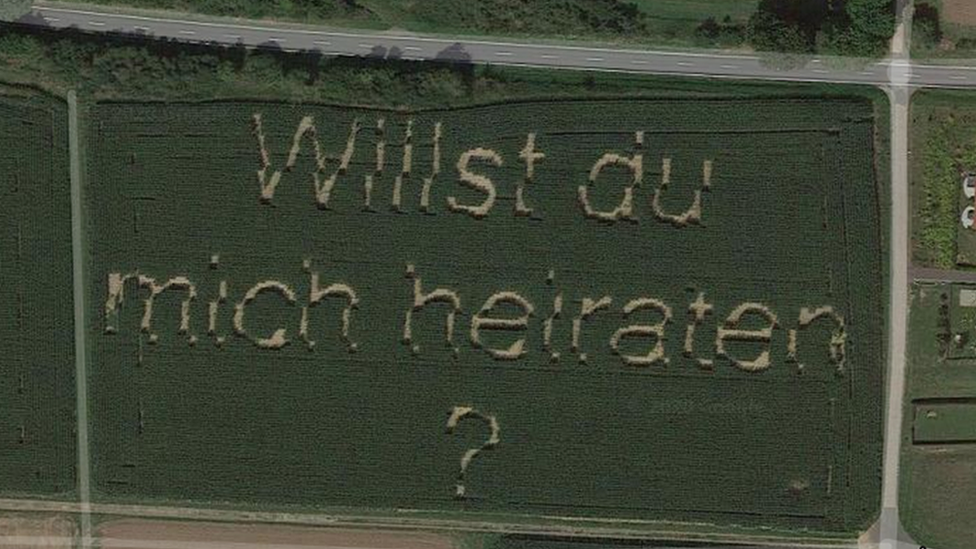 На снимке экрана с Google Maps показаны слова "Willst du mich heiraten?" («Ты хочешь выйти за меня замуж?») Написано на кукурузном поле