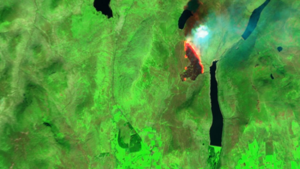 Спутниковые изображения помогли исследователям понять масштаб и ущерб, нанесенный пожарами