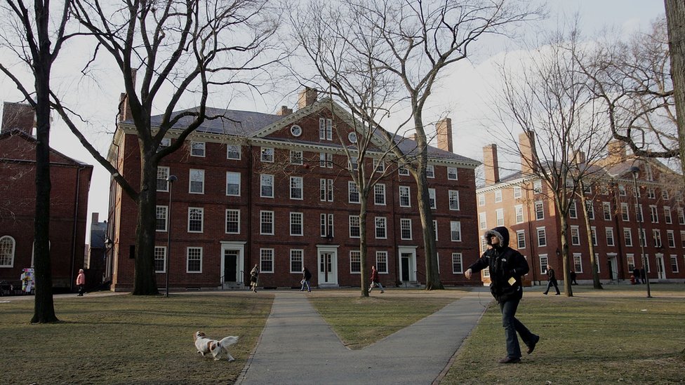 Nunca antes en Harvard se había presentado un trabajo de titulación como el que hizo Shaw para el Departamento de Inglés. Campus de la Universidad de Harvard
