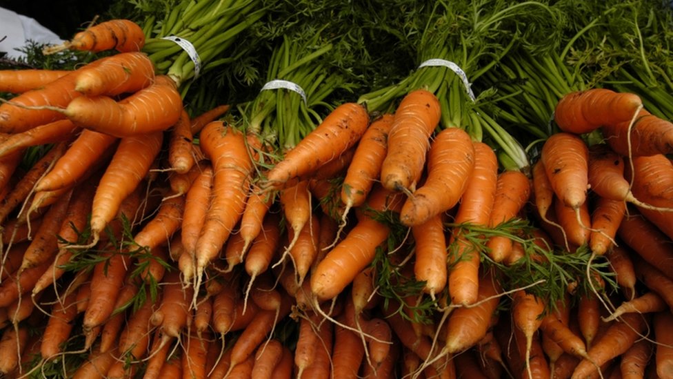 Куча недавно собранной моркови