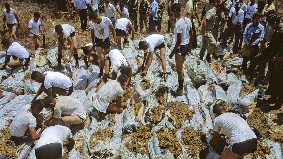 Soldados colombianos abriendo costales de marihuana confiscados en 1979