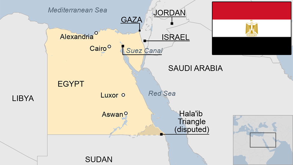 What is the difference between Egyptian, Turkish, and USA-Grown