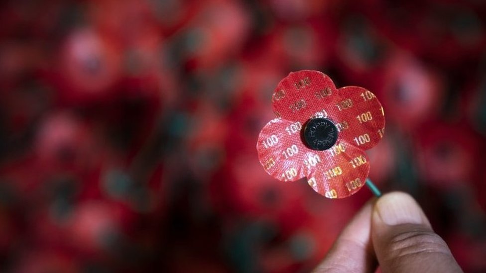 Remembrance Day: Why do people wear poppies? - BBC Newsround