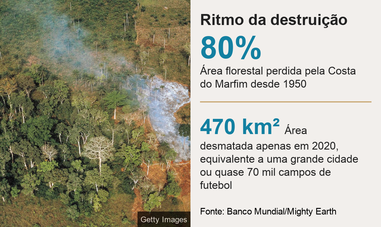 Infográfico mostra ritmo da destruição florestal na Costa do Marfim