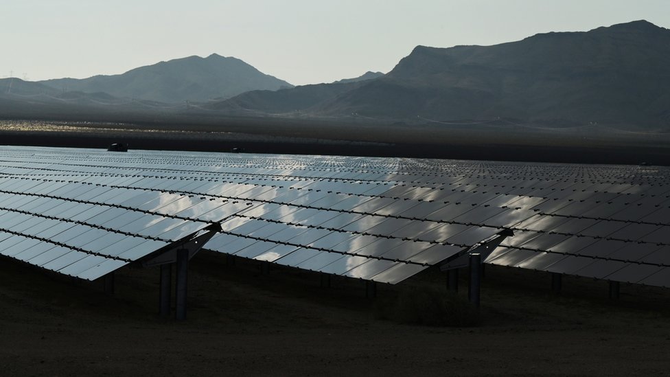 美國加州尼普頓一處太陽能農場上的光伏板（16/8/2021）