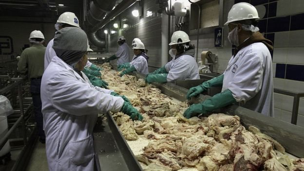 Trabajadores en una planta de procesamiento de pollo.