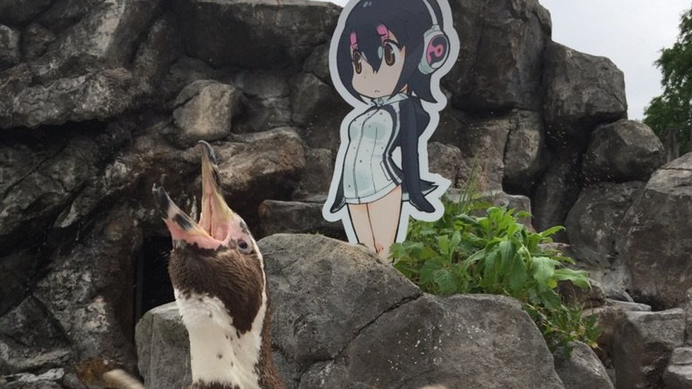 Виноград пингвина и его вырезанное изображение Хулулу