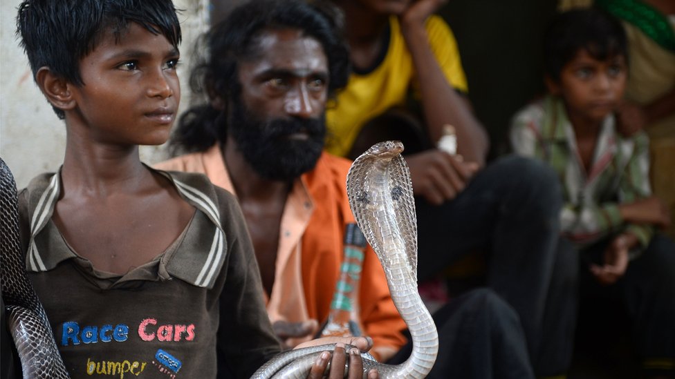 Сын индийского заклинателя змей держит змею-кобру в деревне Капари, примерно в 40 км к юго-западу от Аллахабада в штате Уттар-Прадеш, 25 июля 2017 г.
