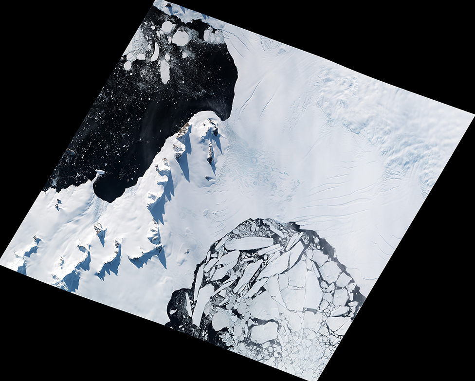Шельфовый ледник Уилкинса