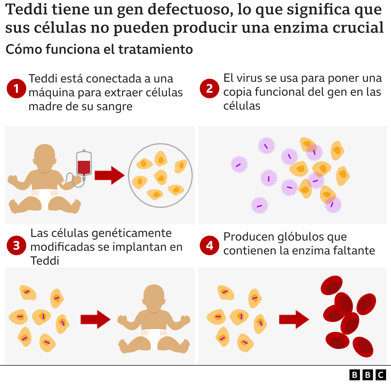 Gráfico