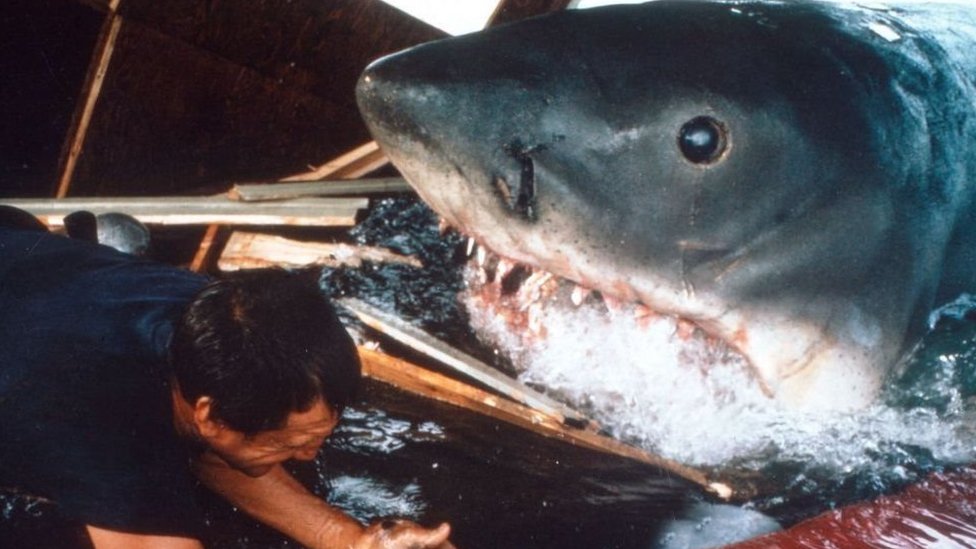 Escena de "Tiburón" en la que se ve el animal mecánico utilizado en la película