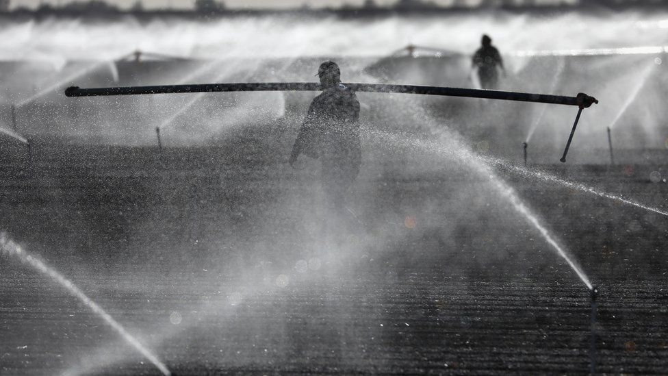 Muchas de las cosechas que importa y exporta Estados Unidos se irrigan con fuentes de agua no renovables. Cultiov en EE.UU.