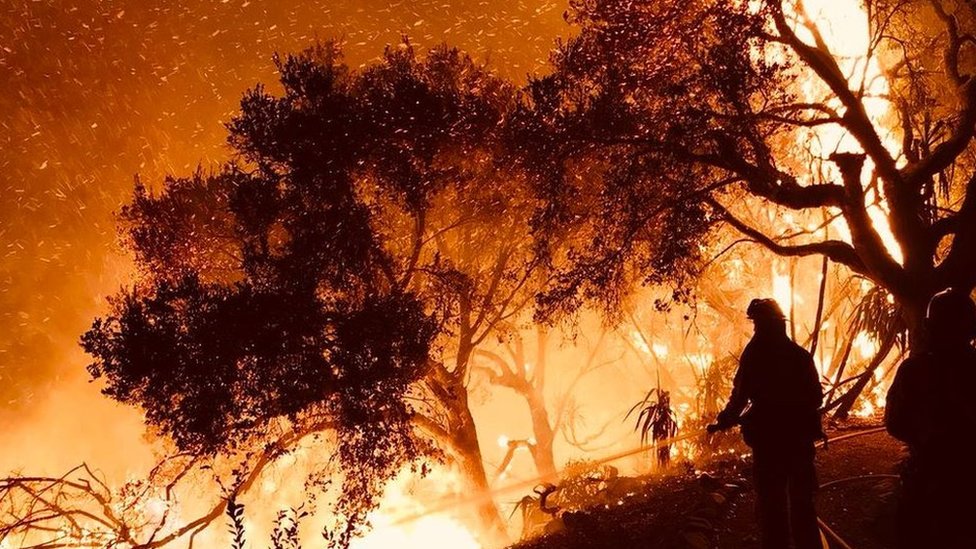 Varios bomberos resultaron heridos y mujer de 70 años fue hallada muerta en su automóvil en una ruta de evacuación. (Foto: Santa Barbara County FD) Incendio en Carpinteria