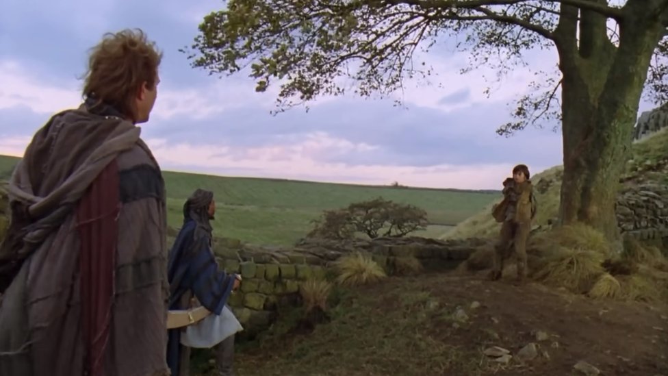 Sycamore Gap: Robin Hood director 'furious' over tree felling