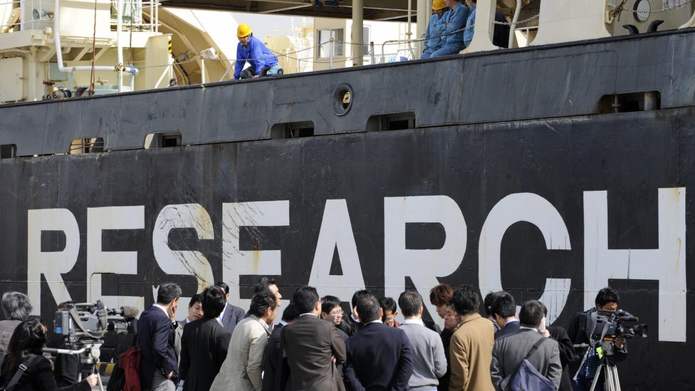 novinari ispred Japanaca lovaca na kitove