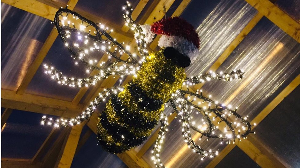 Манчестерская рождественская пчела в стойле Ани