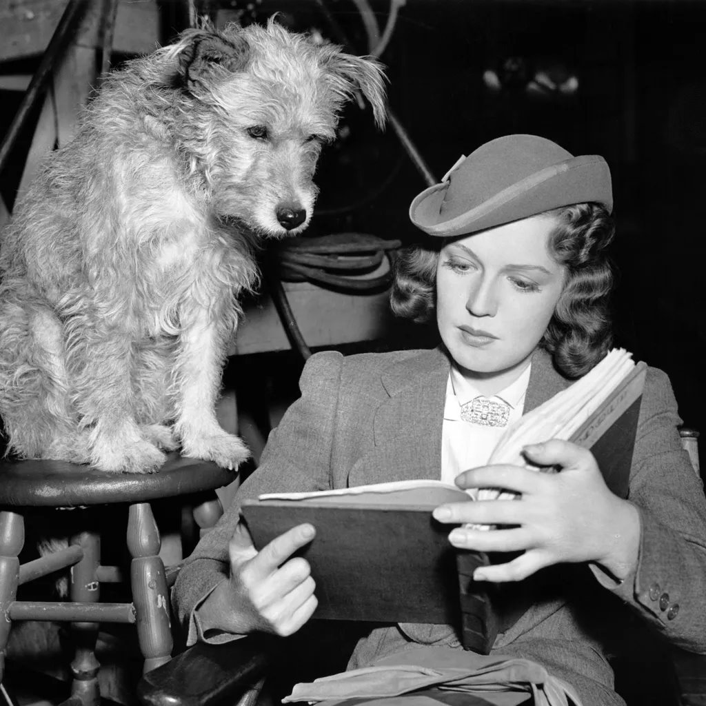 Mulher lendo livro ao lado de cachorro