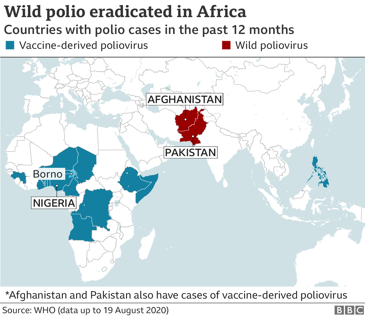 Polio Map 2024 - Avie Ethelin