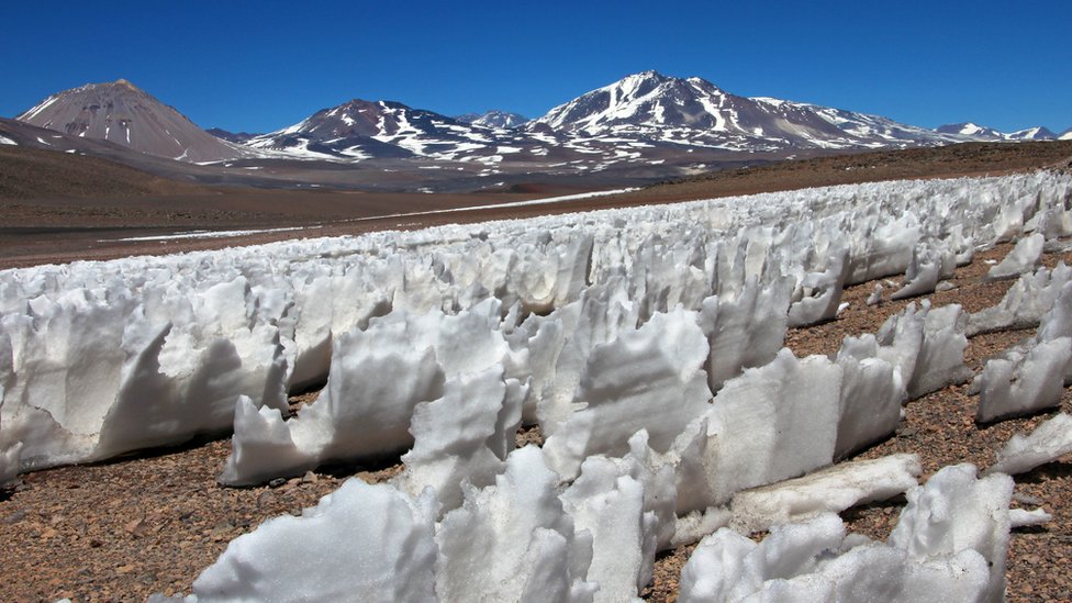 penitentes