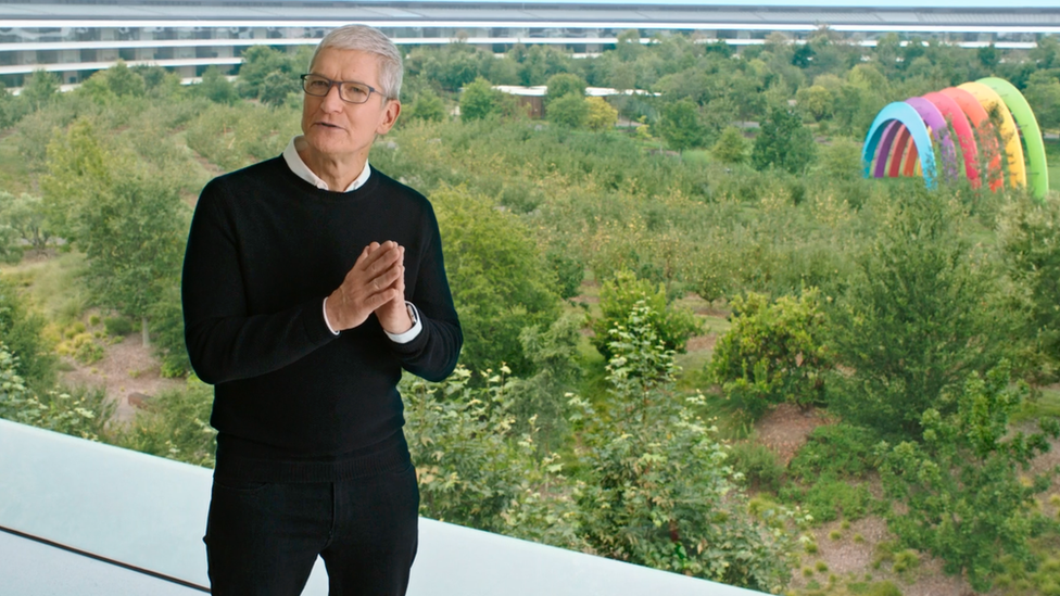 Tim cook