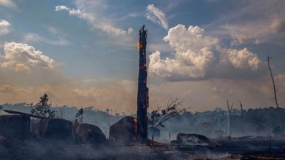 اندلع أكثر من 70,000 حريق في غابات الأمازون البرازيلية عام 2019