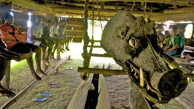 buaya, papua nugini, tradisional, kulit