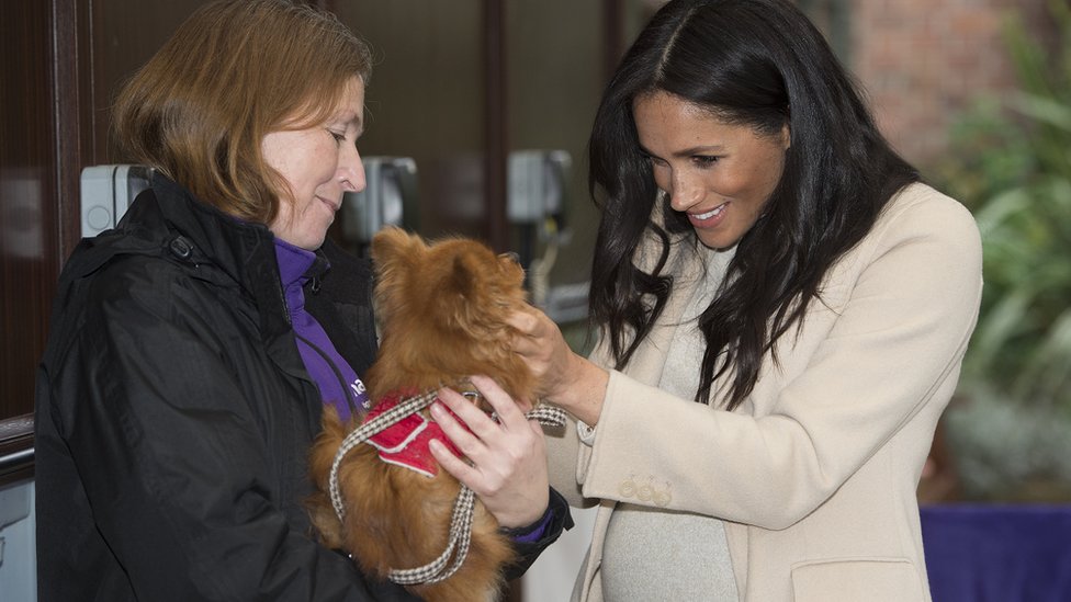 Герцогиня Сассекская встретила собаку по имени Фокси во время посещения благотворительной организации по защите животных Mayhew || |