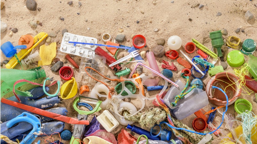 Plastik yiyen bakteri ve mantarlar atık sorununa çözüm olabilir mi?