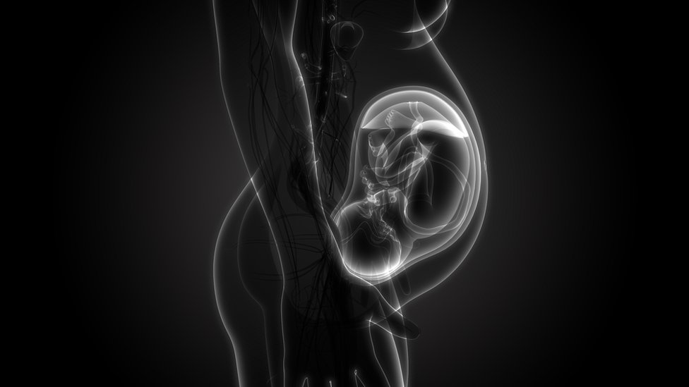 Ilustración de una mujer embarazada