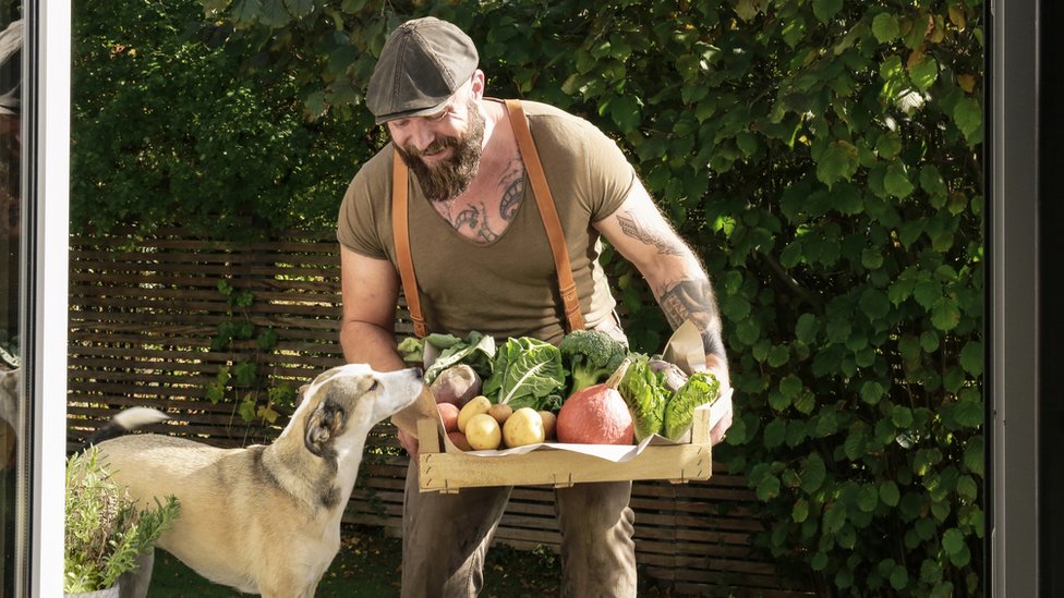 Hombre con verduras y perro