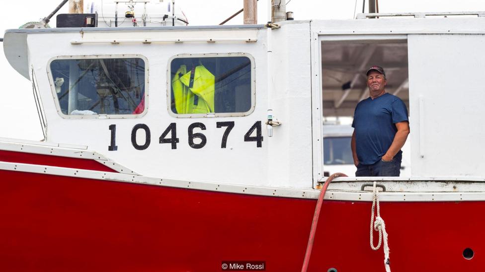 Los pescadores han encontrado una "mina de oro" en las aguas cercanas a Machias Seal. Un hombre en un barco pesquero de langostas Foto: Mike Rossi