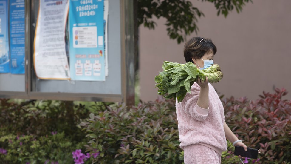 Uma mulher caminha com um punhado de verduras em uma área residencial em 22 de abril de 2022 em Xanga