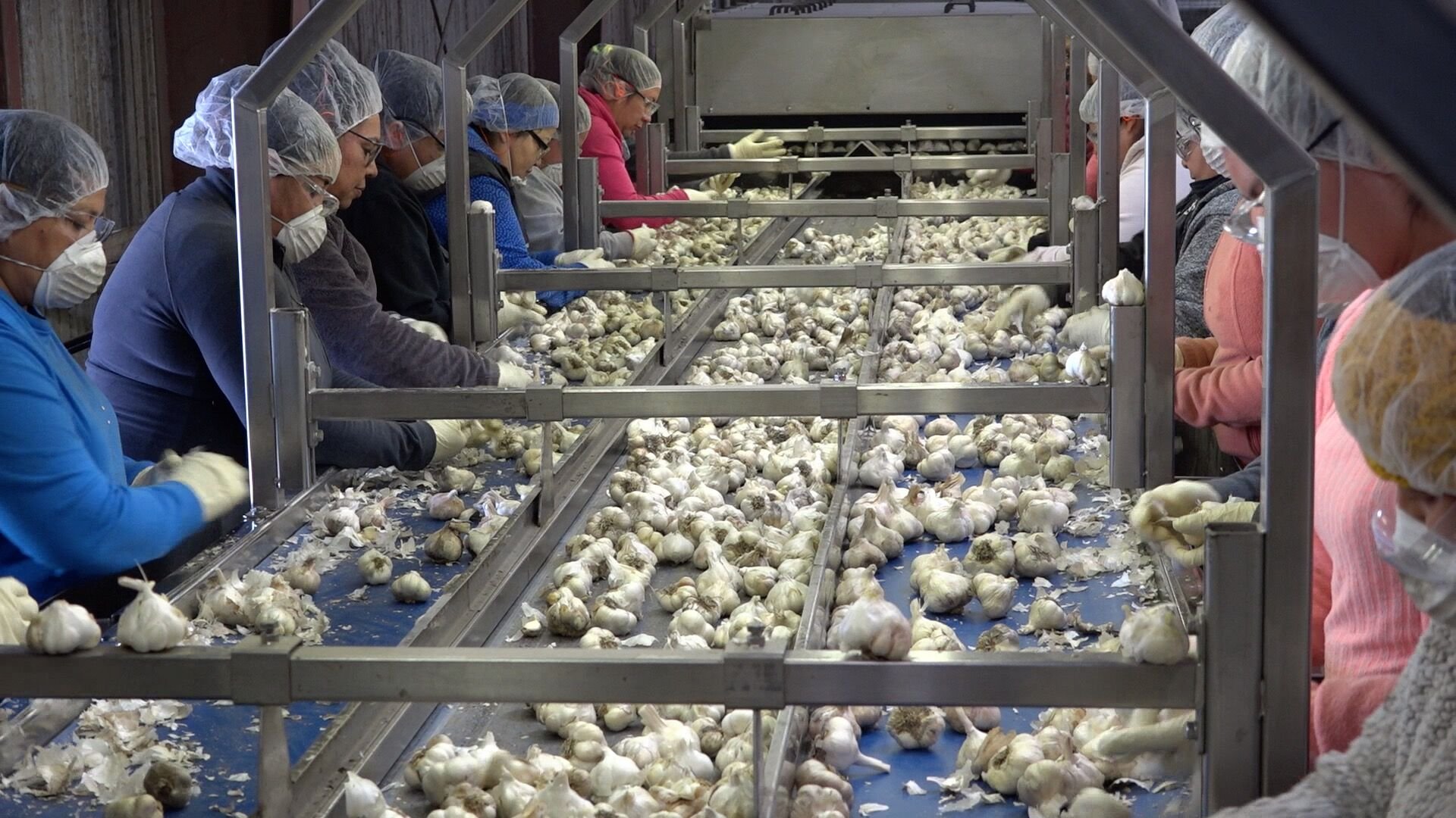 The garlic farmers who love Trump's tariffs BBC News