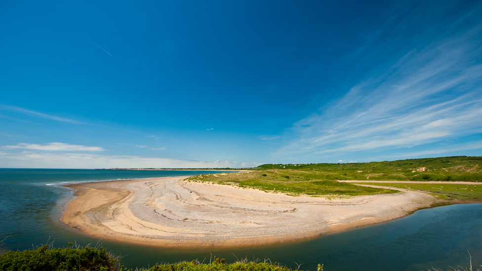 can you take dogs to ogmore beach