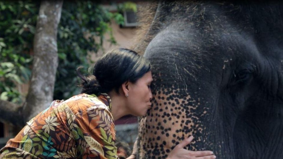 Sangita kissing Lakshmi's trunk