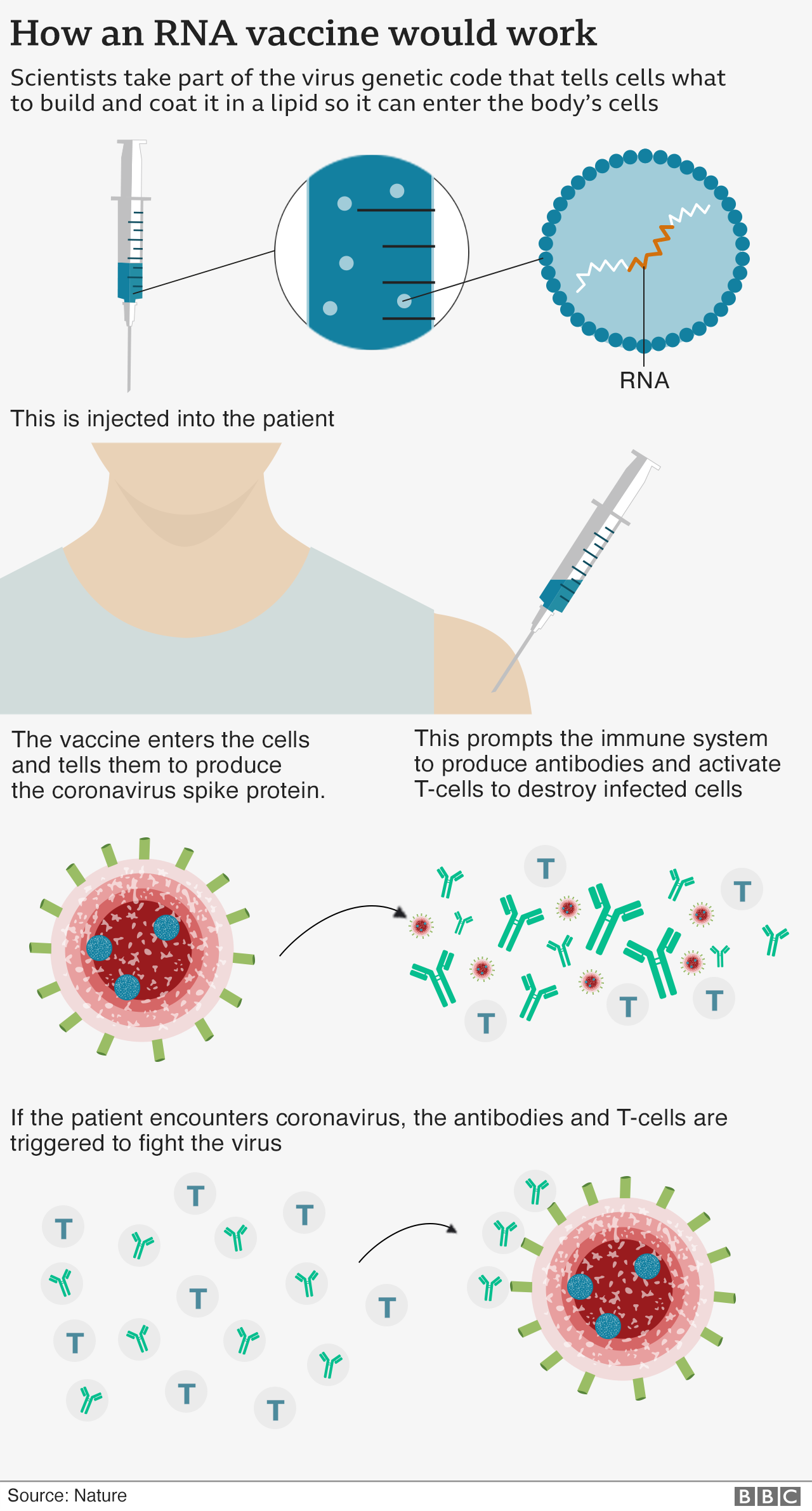 Moderna Covid Vaccine Shows Nearly 95 Protection c News