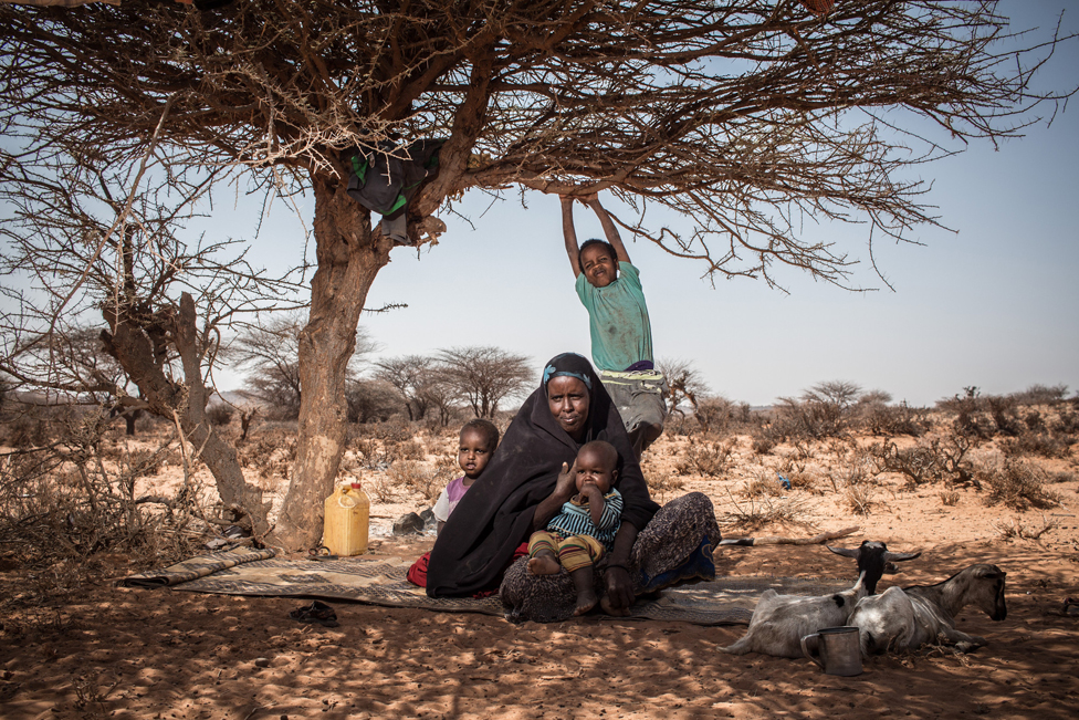 Мать Дика и ее дети находят тень от полуденного солнца под деревом возле своего дома в сельской местности за пределами Кирида, Сомалиленд.