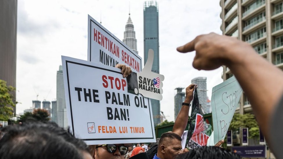 Фермеры Малайзии обеспокоены возможным запретом ЕС на использование пальмового масла в биотопливе