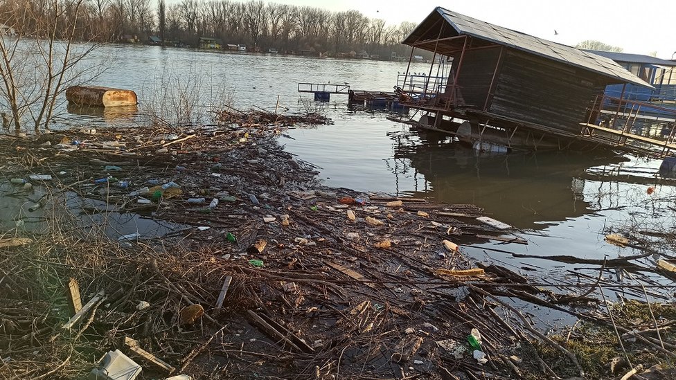 smeće, reka Sava, Sava, zagađenje