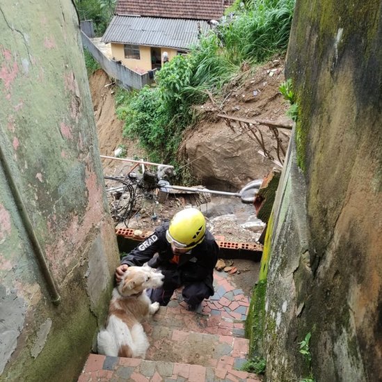 Cachorro sendo resgatado em Petrópolis