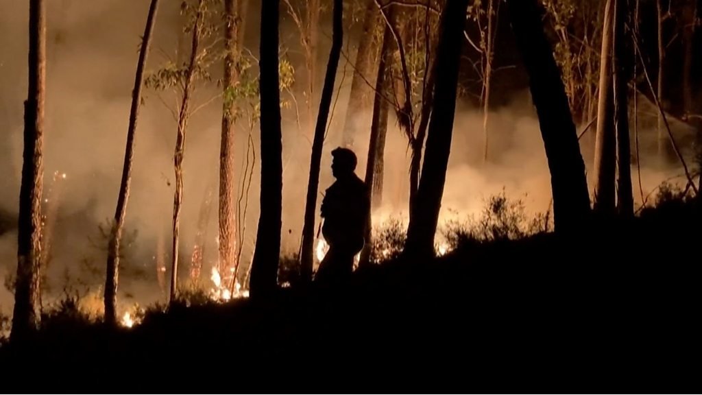 Wildfires break out across parts of Portugal