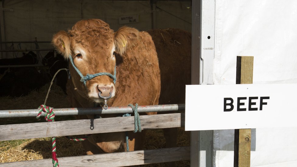 Japan to scrap UK beef ban imposed after BSE crisis