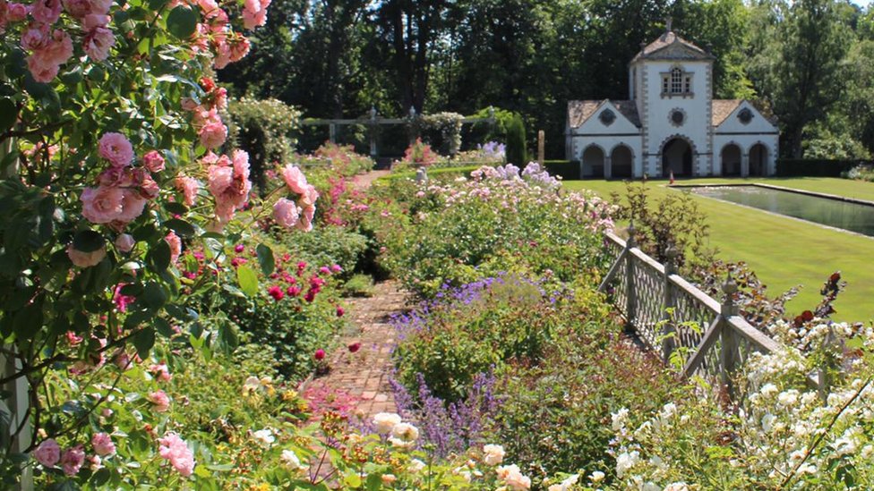 are dogs allowed in bodnant gardens