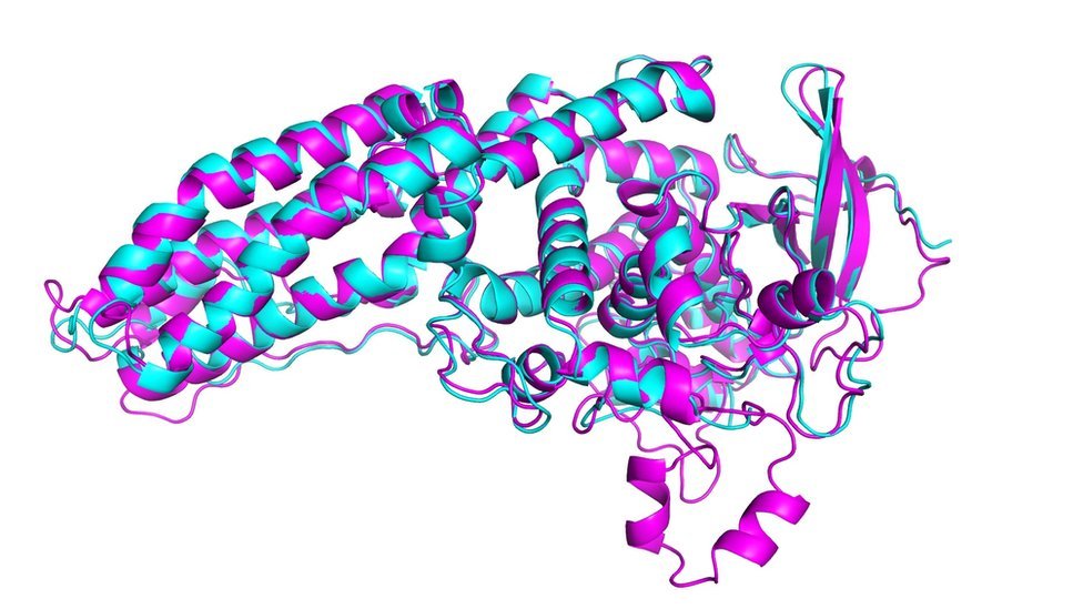 Модель DeepMind белка из бактерий болезни легионеров (Casp-14)