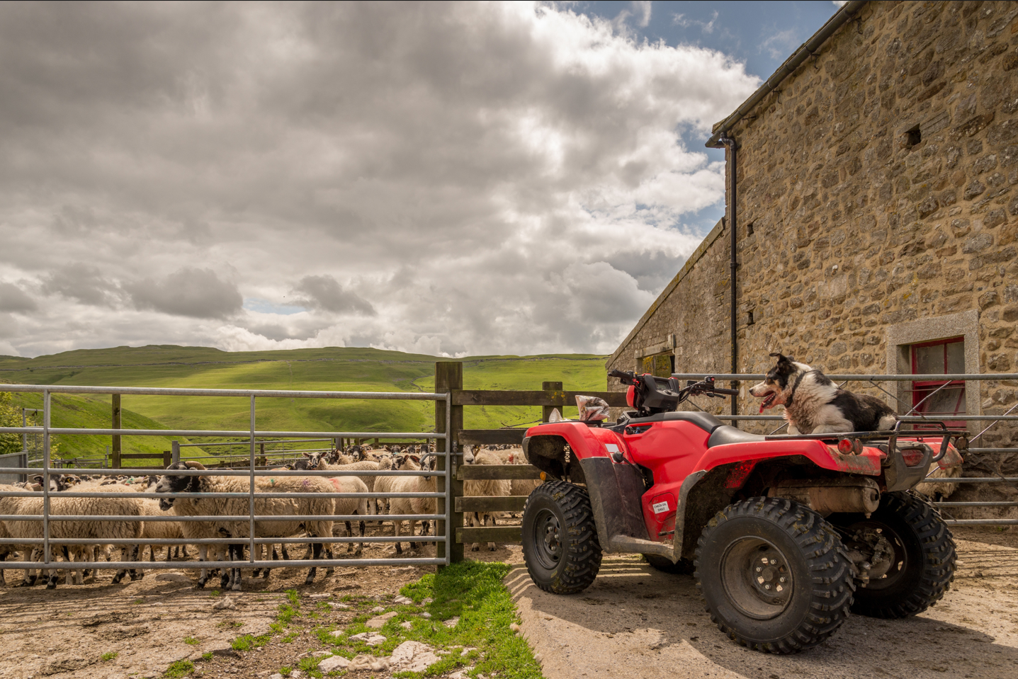 Farm quad bike store helmets