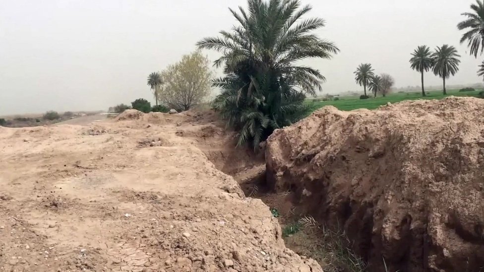صورة لنخيل وجفاف حولها من العراق